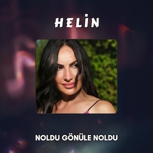 Noldu Gönüle Noldu